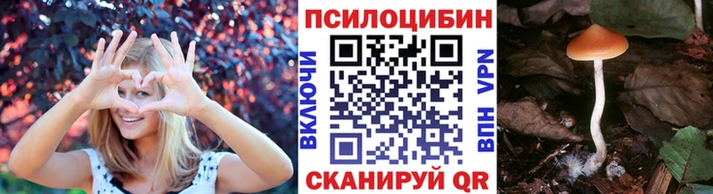 где можно купить наркотик  Волгоград  мега ссылка  Псилоцибиновые грибы Cubensis 