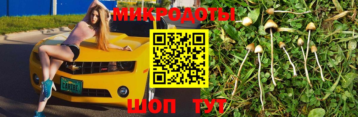 Волгоград  Псилоцибиновые грибы MAGIC MUSHROOMS  Вход с VPN  Псилоцибиновые грибы GOLDEN TEACHER 